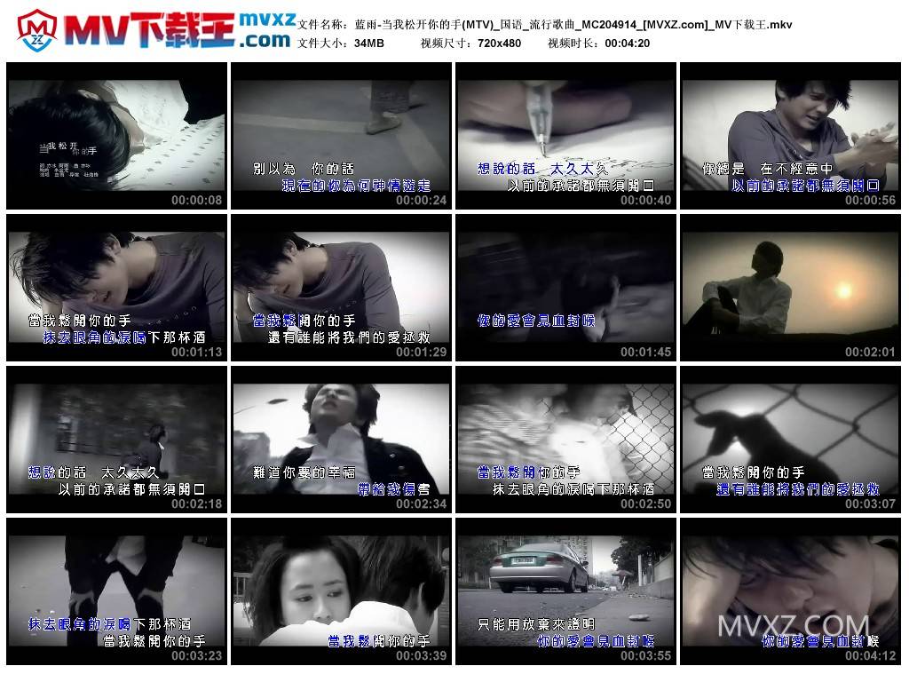 蓝雨-当我松开你的手(MTV)_国语_流行歌曲_MC204914